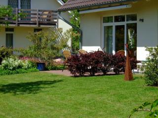 4 Sterne Apartment Hühnergott mit Terrasse und Sauna - Lobbe - 8