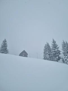 Cottage SuBree on Goderdzi - 5