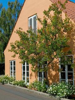 Aroma Guesthouse - Ærøskøbing - 0
