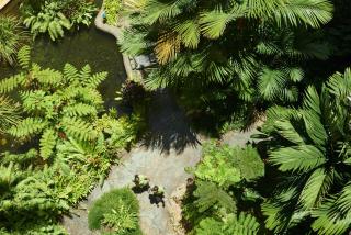 DoubleTree by Hilton Cairns - Cairns - 3