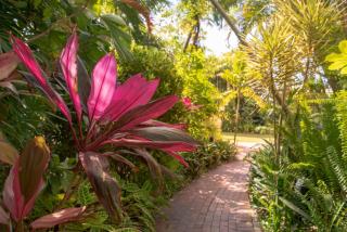 Hilton Cairns - Cairns - 6