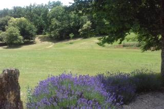 Les charmes en périgord noir proche de Sarlat - 4