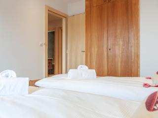 Apartment Praplan 21-22 by Interhome - Nendaz - 3
