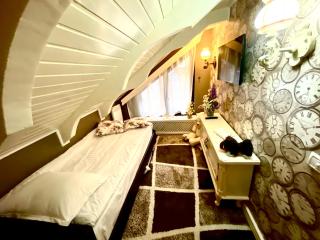 Vila Cochet - Brasov - 9
