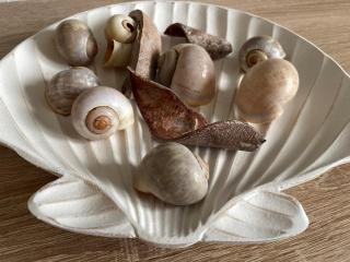 Friesenkieker - Garding - 4