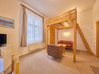 Apartment Stříbrný pramen-7 by Interhome - 4