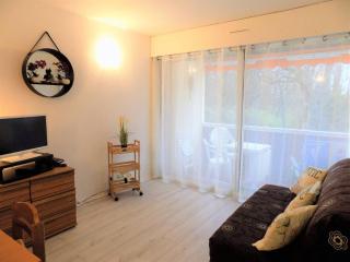 Saint Georges de Didonne - APPARTEMENT proche PLAGE et CENTRE-VILLE - Saint-Georges-de-Didonne - 7
