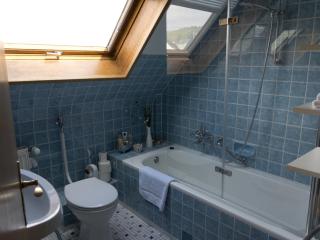 Ferienwohnung Dernbecher - Saarbrücken - 1