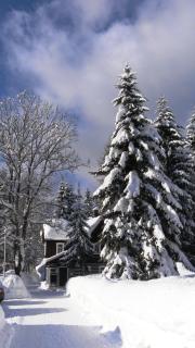 Pension Arabela - Harrachov - 7