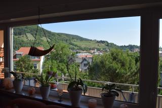 Ferienwohnung Ruth - Neustadt an der Weinstraße - 2