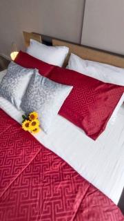 452 D Condo Campus Resort KuKuPhuket - Phuket - 5