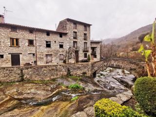 4LLARS - Beget - 8
