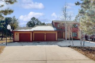 Sunflower Sanctuary - 9