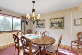 Sunflower Sanctuary - 4