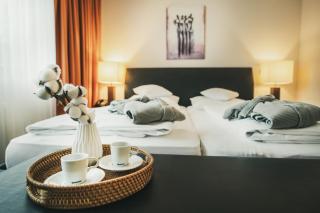 Hotel Lauterbad - Freudenstadt - 2