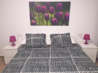 Apartamento Centro Historico Teruel - Teruel - 3