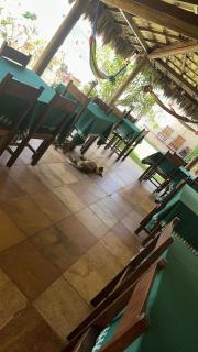 Pousada lagoa da Barra Taiba - 5