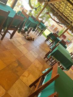 Pousada lagoa da Barra Taiba - 6