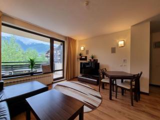 VIP 3rooms Apartment in 4* Terra Complex Razlog - Bansko - 7