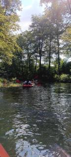 Przystanek Rospuda - 5