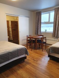 Skálatjörn Guesthouse - Skálatjörn - 8
