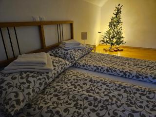 Apartma Stenar - Mojstrana - 1