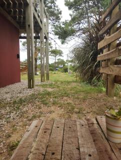 Lis - Punta Del Diablo - 1