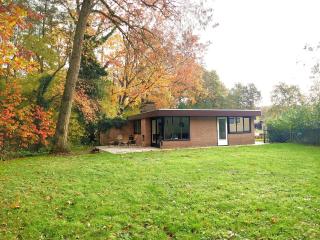 Vrijstaande vakantiebungalow met optimale privacy!! - Rekem - 9