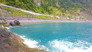 Lazy Lizard by the Ocean - 9