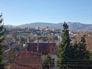 Willa Cosy Bielsko-Biała - Bielsko-Biala - 1