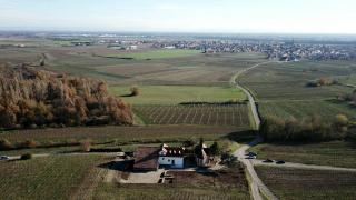 Le Gîte du Taennel - Scherwiller - 9