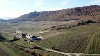 Le Gîte du Taennel - Scherwiller - 3