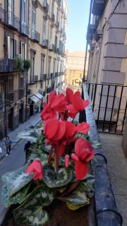 Plebiscito Suite Apartment - Naples - 5