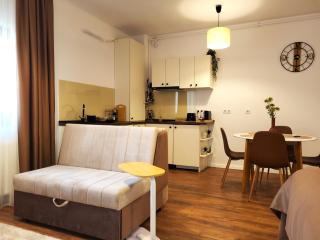 Garden City Studio - Sibiu - 7