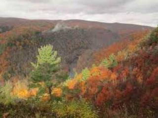 Small Town Hideaway - Wyalusing - 6