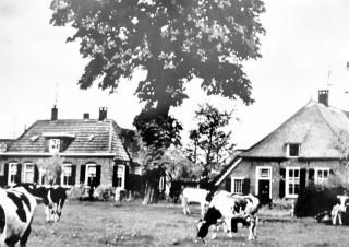 De Jagtlust - Nieuwleusen - 0