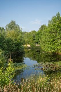 De Jagtlust - Nieuwleusen - 7