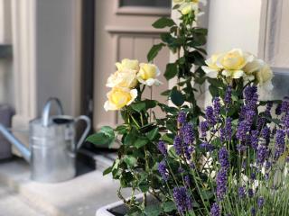 Luxus Ferienhaus - Kleine Rosenvilla - Sassnitz - 5