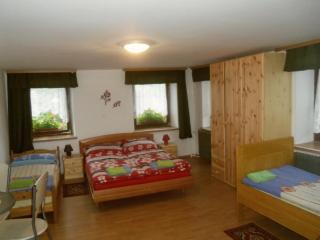 Hostel, Rooms and Apartment Ceklin - 6