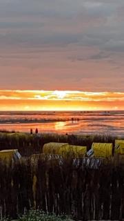 Nordsee 08 Helgoland - Cuxhaven - 9