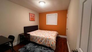 Affordable Downtown Private Rooms - Windsor - 7