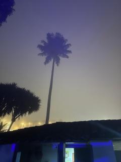 Hostal La Pijaraña - 2