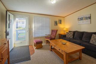 Stay In Ohiopyle near the GAP Trail - Ohiopyle, PA - - 8