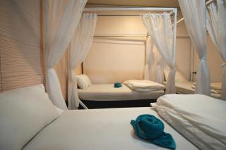 Chillax Khaosok Hostel - SHA Certified - Khao Sok - 8