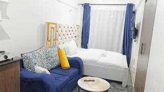 Superior Studio at Thindigua Kiambu Road - Kiambu - 8