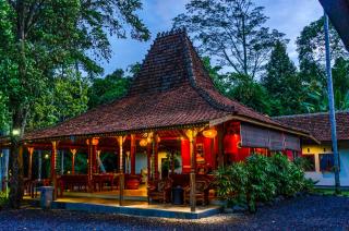 Ubud Heaven Sayan - Ubud - 5
