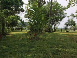 Luxury Villa close to famous Hikkaduwa Beach - 6