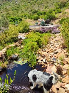 Roodekloof - Montagu - 0
