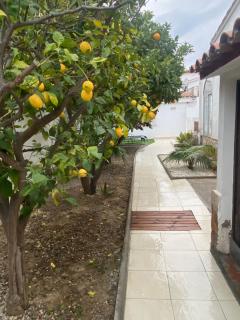maison avec jardin à 400 m de la plage - Empuriabrava - 3