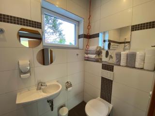 „1. SALZBURG work & sleep luxury apartment“ für arbeiten & wohnen ! - Salzburg - 2